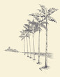 Tall palm trees alley on the beach, sea view hand drawing