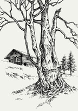 Mountain Wooden Hut, Old Tree Trunk In Winter. Hand Drawn Landscape