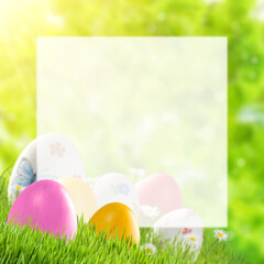 Wall Mural - Easter card with eggs and place for text