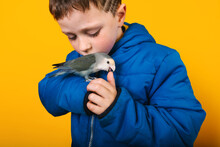 Boy In Outerwear Kissing Parrot