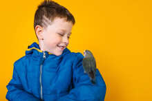 Boy In Outerwear With Parrot