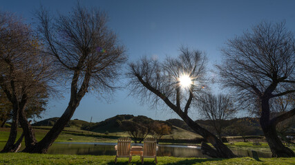 Wall Mural - Beautiful day to relax at the park and lake