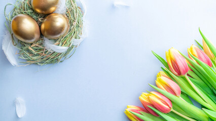 Wall Mural - Easter eggs basket. Golden egg in basket with spring tulips, white feathers on pastel blue background in Happy Easter decoration. Traditional decoration in sun light. Top view.