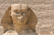 Close up of the Great Sphinx of Giza, Egypt