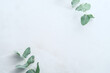 © photoguns - Eucalyptus leaves on stone table. Frame made of eucalyptus plant branches. Flat lay, top view, vertical.