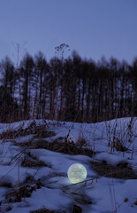 moon on snow, evening dark natural background. beautiful atmosphere mystical landscape. full moon, called the Snow Moon. Moon Ritual, modern wiccan magic	