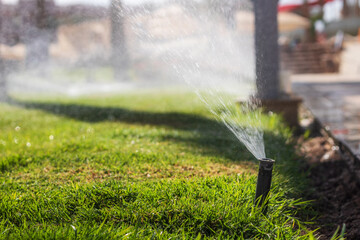 Wall Mural - Sprinkler watering the grass on the lawn. Water irrigation system. Automatic lawn watering.