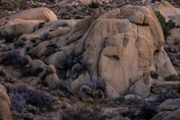 Poster - Rockpile Looking Like A Sleeping Lion in Jumbo Rocks Campground