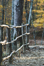Old Wooden Railing In The Forest