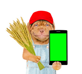 Poster - Smart farming. Smiling dog farmer using modern technologies in agriculture
