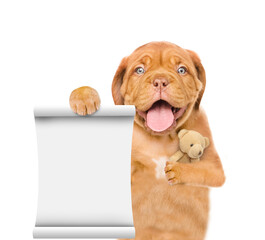 Poster - Yawning Mastiff puppy hugs toy bear and shows empty list.  Isolated on white background