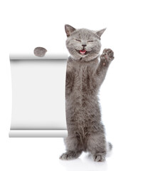 Poster - Happy cat shows empty list. isolated on white background