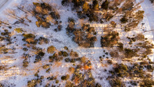 Aerial Of Forest In Winter During Golden Hour