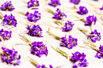 Wall Mural - small bouquets of fragrant wild violet flowers tied with twine on a gray wooden background, selective focus