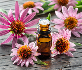 Wall Mural - Blooming coneflower heads and bottle of echinacea oil on wooden background close-up.