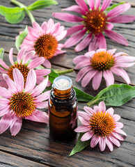 Wall Mural - Blooming coneflower heads and bottle of echinacea oil on wooden background close-up.