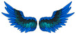 Beautiful bright blue wings with dark green feathers, color vector illustration