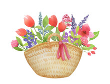 Watercolor Wicker Basket With Pink Flowers Bouquet. Spring Hand Drawn Bouquet With Wildflowers Isolated On White Background.