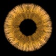 cgi render image of orange and brown iris in the eye
