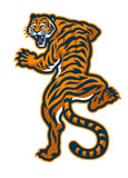 Fototapeta Dinusie - Angry Roaring Tiger Mascot Logo