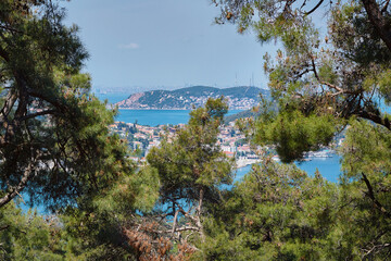 Wall Mural - View through the branches of coniferous trees to the islands in the sea. Travel to Adalar, Prince Islands, Istanbul 