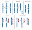 Chromosome mutation is the process of change that results in rearranged chromosome parts