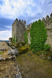 Fototapeta Kwiaty - Castle ramparts, Trancoso Castle, Serra da Estrela, Portugal