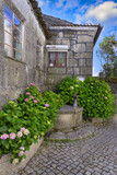 Fototapeta Uliczki - Narrow cobble street with flowers and old stone houses, Trancoso, Serra da Estrela, Portugal
