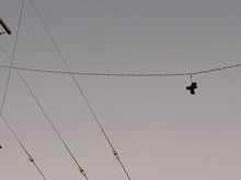 Silhouette Of Tennis Shoes Hung Over A Power Line, Believed To Be A Sign For Drugs
