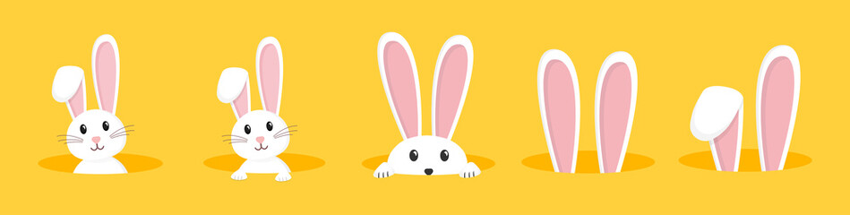 Easter rabbit, easter Bunny. Vector illustration.