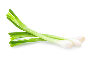 Poster - Green onion isolated on the white background