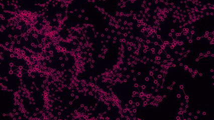 Poster - Concept of artificial intelligence and neural science. Design. Cloud of connected pink cells on a black background, seamless loop.