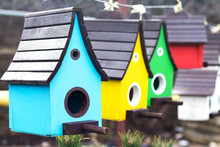 Group Of Colorful Wooden Nesting Box Or Birdhouses