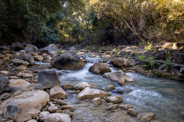 Canvas Print - Cascadas de Comala, Chiquilistlan, Jalisco, Mexico