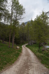 Wall Mural - strada di montagna 