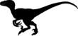 raptor silhouette black vector illustration