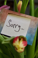 A Closeup Shot Of A Colorful Bouquet Of Tulips With A Handmade "Sorry" Card