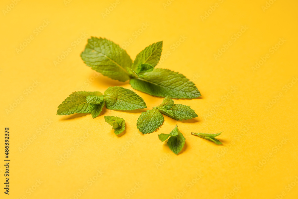 Organic mint leaves on color background