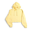 © Pixel-Shot - Stylish yellow hoodie on white background