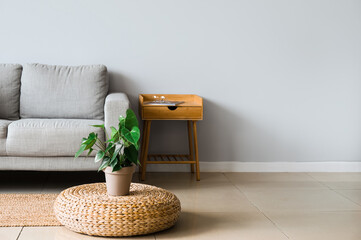 Interior of light living room with sofa, wooden table and houseplant