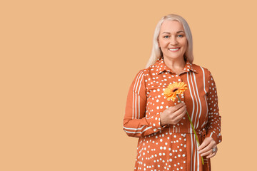 Wall Mural - Mature woman holding gerbera flower on beige background. International Women's Day celebration