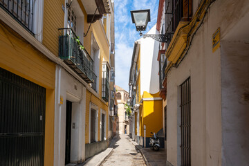 Wall Mural - A typical narrow street of colorful yellow buildings in the Barrio Santa Cruz area of the Andalusian city of Seville Spain.