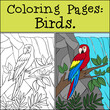 Coloring page with example. Cute parrot red macaw sits and smiles.