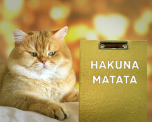 Hakuna Matata, Swahili Phrase It Means No Worries.