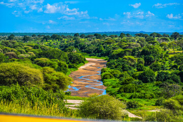 Wall Mural - Tarangire River in the dry season. Not a road.