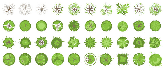 Wall Mural - trees and plants top view for landscape design. icon set of colored trees and grass for architectura