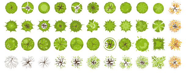 Wall Mural - trees and plants top view for landscape design. icon set of colored trees and grass for architectura