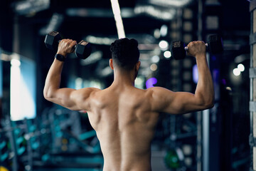 Canvas Print - Bodybuilding Concept. Rear View Of Muscular Man Training With Dumbbells In Gym