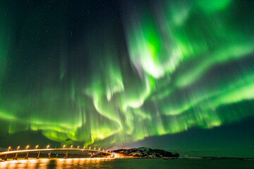 northern light in tromsø, norway. beautiful aurora borealis.