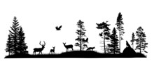 Set Of Silhouettes Of Trees And Wild Forest Animals. Deer, Fawn, Doe, Fox, Wolf, Owl, Bird Of Pray, Squirrel. Black And White Hand Drawn Illustration. 